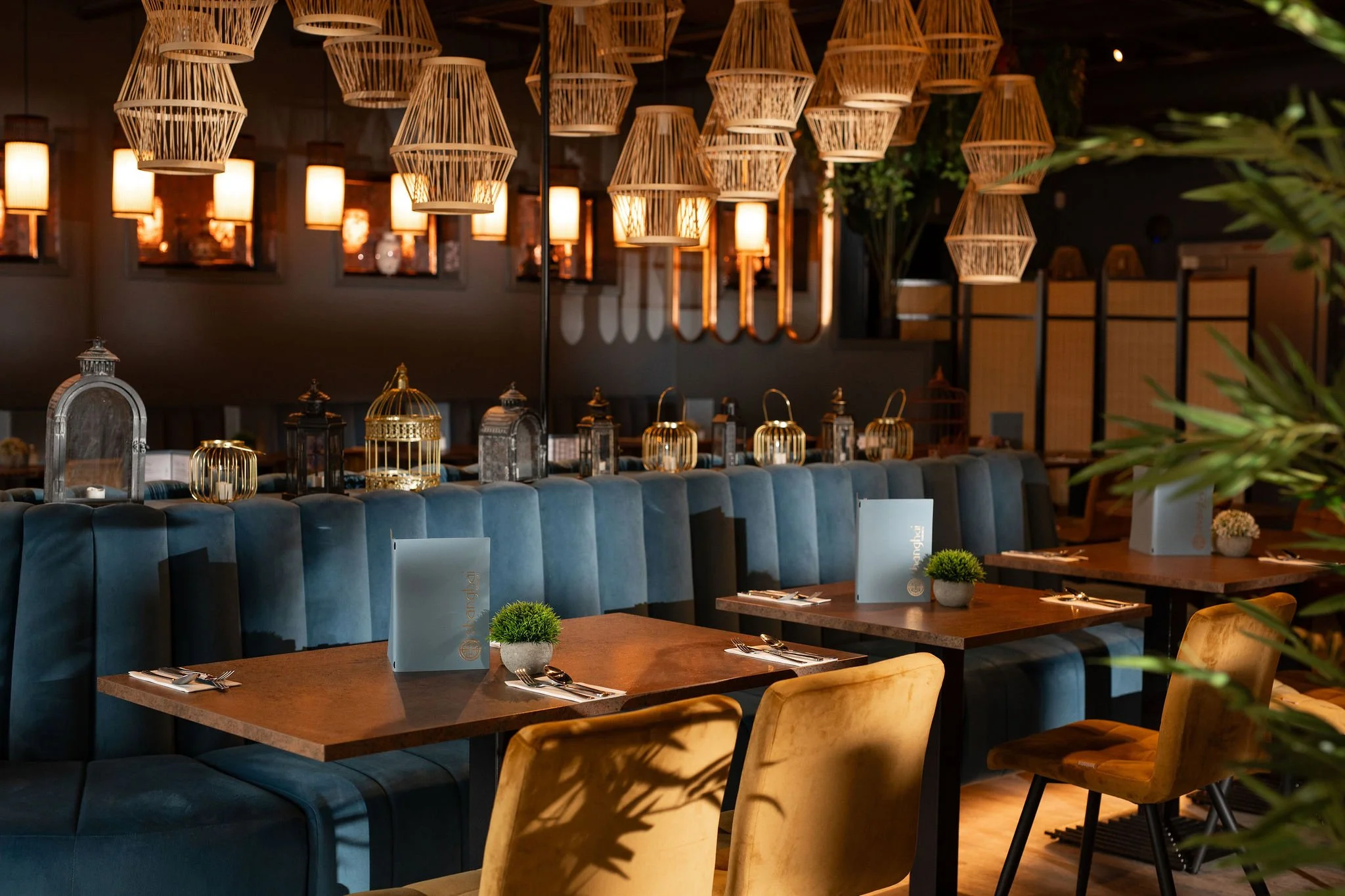 Shanghai Teahouse: Sanctuary of Elegance and Tradition Shanghai Teahouse: Sanctuary of Elegance and Tradition